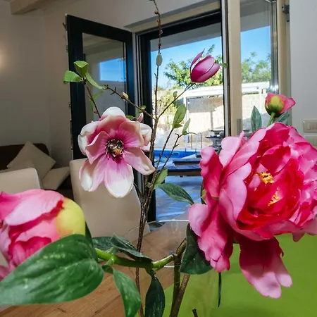Villa Dalmatian Castello Coza With Pool,