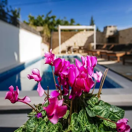 Dalmatian Castello Coza With Pool, * Vinjerac